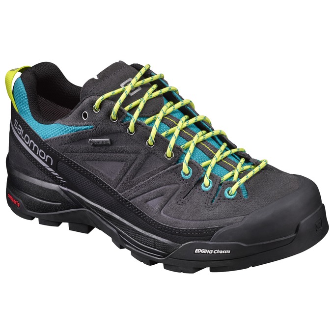 X ALP MID LTR GTX ® W