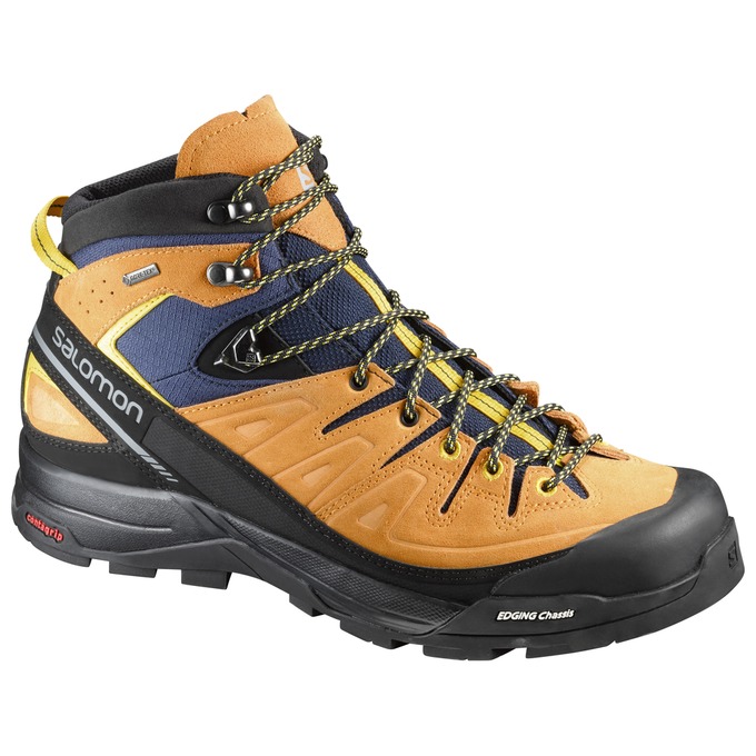 X ALP MID LTR GTX ®