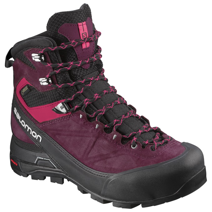 X ALP MTN GTX ® W