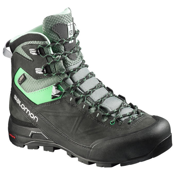 X ALP MTN GTX ® W