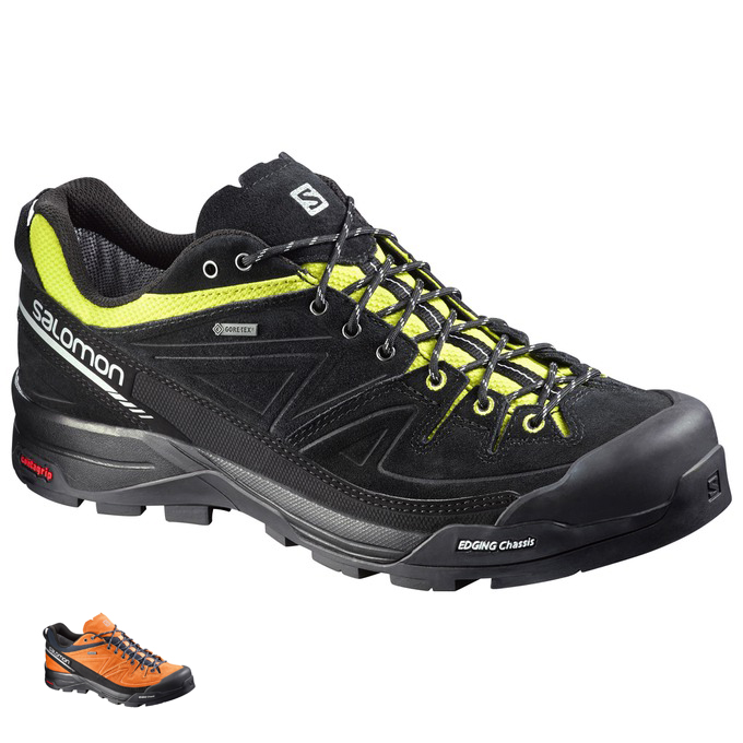 X ALP LTR GTX ®